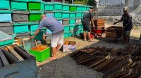 IMG-20260710-WA0256