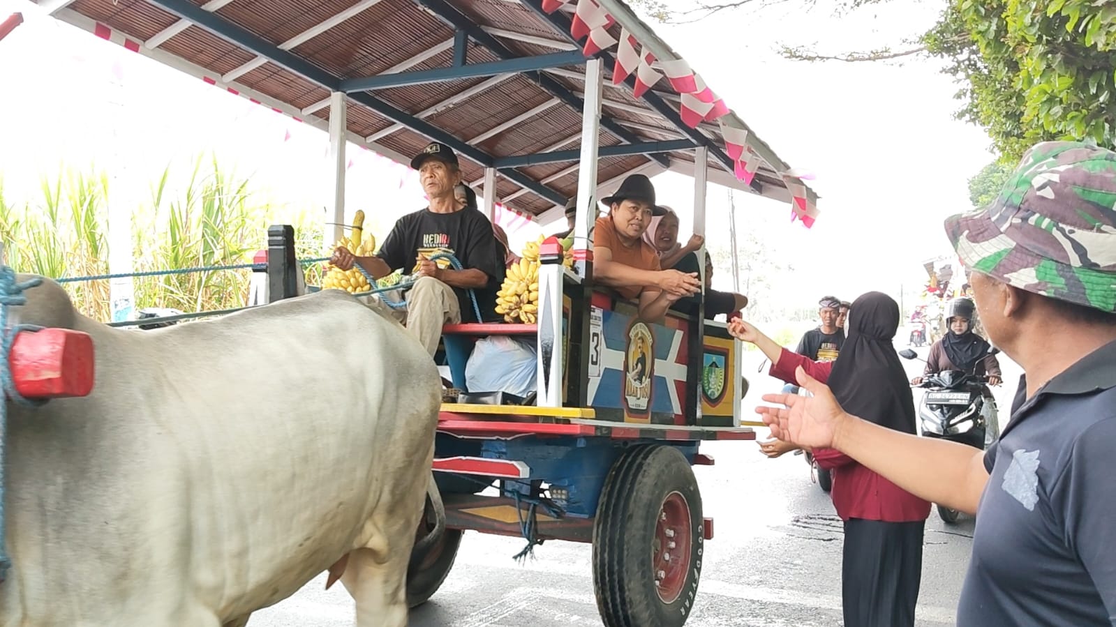 Iring-iringan parade cikar sapi tradisional yang dihias warna-warni melintas di jalanan Kediri untuk melestarikan budaya lokal